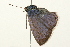  ( - 09BBLEP-02807)  @13 [ ] CreativeCommons - Attribution (2009) Unspecified Centre for Biodiversity Genomics