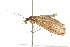  ( - 09BBLEP-02835)  @13 [ ] CreativeCommons - Attribution (2009) Unspecified Centre for Biodiversity Genomics