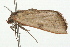  ( - 09BBLEP-02890)  @14 [ ] CreativeCommons - Attribution (2009) Unspecified Centre for Biodiversity Genomics