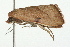  ( - 09BBLEP-02895)  @14 [ ] CreativeCommons - Attribution (2009) Unspecified Centre for Biodiversity Genomics