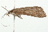  ( - 09BBLEP-02919)  @12 [ ] CreativeCommons - Attribution (2009) Unspecified Centre for Biodiversity Genomics