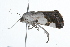  ( - 09BBLEP-01986)  @12 [ ] CreativeCommons - Attribution (2009) Unspecified Centre for Biodiversity Genomics