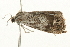  ( - 09BBLEP-03005)  @13 [ ] CreativeCommons - Attribution (2009) Unspecified Centre for Biodiversity Genomics