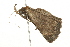 ( - 09BBLEP-03041)  @12 [ ] CreativeCommons - Attribution (2009) Unspecified Centre for Biodiversity Genomics