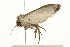  ( - 09BBLEP-03046)  @14 [ ] CreativeCommons - Attribution (2009) Unspecified Centre for Biodiversity Genomics