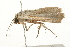  ( - 09BBLEP-03047)  @13 [ ] CreativeCommons - Attribution (2009) Unspecified Centre for Biodiversity Genomics
