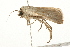  ( - 09BBLEP-03049)  @13 [ ] CreativeCommons - Attribution (2009) Unspecified Centre for Biodiversity Genomics