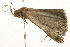  ( - 09BBLEP-03072)  @12 [ ] CreativeCommons - Attribution (2009) Unspecified Centre for Biodiversity Genomics