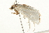  ( - 09BBLEP-03086)  @13 [ ] CreativeCommons - Attribution (2009) Unspecified Centre for Biodiversity Genomics