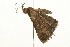  ( - 09BBLEP-03091)  @12 [ ] CreativeCommons - Attribution (2009) Unspecified Centre for Biodiversity Genomics