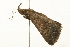  ( - 09BBLEP-03155)  @12 [ ] CreativeCommons - Attribution (2009) Unspecified Centre for Biodiversity Genomics