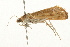  ( - 09BBLEP-03188)  @13 [ ] CreativeCommons - Attribution (2009) Unspecified Centre for Biodiversity Genomics