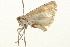  ( - 09BBLEP-03204)  @13 [ ] CreativeCommons - Attribution (2009) Unspecified Centre for Biodiversity Genomics