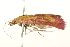  ( - 09BBLEP-03210)  @12 [ ] CreativeCommons - Attribution (2009) Unspecified Centre for Biodiversity Genomics