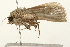  ( - 09BBLEP-03239)  @12 [ ] CreativeCommons - Attribution (2009) Unspecified Centre for Biodiversity Genomics