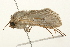  ( - 09BBLEP-03240)  @12 [ ] CreativeCommons - Attribution (2009) Unspecified Centre for Biodiversity Genomics