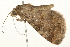  ( - 09BBLEP-03256)  @12 [ ] CreativeCommons - Attribution (2009) Unspecified Centre for Biodiversity Genomics