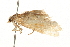  ( - 09BBLEP-03390)  @13 [ ] CreativeCommons - Attribution (2009) Unspecified Centre for Biodiversity Genomics