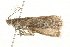  ( - 09BBLEP-03397)  @12 [ ] CreativeCommons - Attribution (2009) Unspecified Centre for Biodiversity Genomics