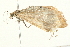 ( - 09BBLEP-03408)  @13 [ ] CreativeCommons - Attribution (2009) Unspecified Centre for Biodiversity Genomics