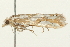  ( - 09BBLEP-03436)  @13 [ ] CreativeCommons - Attribution (2009) Unspecified Centre for Biodiversity Genomics