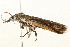  ( - 09BBLEP-03525)  @12 [ ] CreativeCommons - Attribution (2009) Unspecified Centre for Biodiversity Genomics