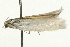  ( - 09BBLEP-03695)  @13 [ ] CreativeCommons - Attribution (2009) Unspecified Centre for Biodiversity Genomics