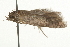  ( - 09BBLEP-03696)  @12 [ ] CreativeCommons - Attribution (2009) Unspecified Centre for Biodiversity Genomics