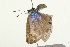  ( - 09BBLEP-03741)  @12 [ ] CreativeCommons - Attribution (2009) Unspecified Centre for Biodiversity Genomics