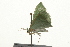  ( - 09BBLEP-03770)  @13 [ ] CreativeCommons - Attribution (2009) Unspecified Centre for Biodiversity Genomics