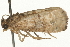  ( - 09BBLEP-03820)  @12 [ ] CreativeCommons - Attribution (2009) Unspecified Centre for Biodiversity Genomics