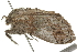 ( - 09BBLEP-03840)  @12 [ ] CreativeCommons - Attribution (2009) Unspecified Centre for Biodiversity Genomics