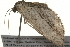  ( - 09BBLEP-03861)  @13 [ ] CreativeCommons - Attribution (2009) Unspecified Centre for Biodiversity Genomics