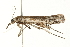  ( - 09BBLEP-04007)  @12 [ ] CreativeCommons - Attribution (2009) Unspecified Centre for Biodiversity Genomics