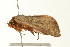 ( - 09BBLEP-04037)  @12 [ ] CreativeCommons - Attribution (2009) Unspecified Centre for Biodiversity Genomics
