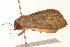  ( - 09BBLEP-04046)  @12 [ ] CreativeCommons - Attribution (2009) Unspecified Centre for Biodiversity Genomics
