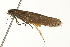  ( - 09BBLEP-04211)  @14 [ ] CreativeCommons - Attribution (2009) Unspecified Centre for Biodiversity Genomics
