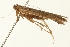  ( - 09BBLEP-04283)  @13 [ ] CreativeCommons - Attribution (2009) Unspecified Centre for Biodiversity Genomics