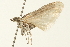 ( - 09BBLEP-04285)  @13 [ ] CreativeCommons - Attribution (2009) Unspecified Centre for Biodiversity Genomics