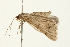  ( - 09BBLEP-04341)  @13 [ ] CreativeCommons - Attribution (2009) Unspecified Centre for Biodiversity Genomics
