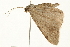  ( - 09BBLEP-04344)  @13 [ ] CreativeCommons - Attribution (2009) Unspecified Centre for Biodiversity Genomics