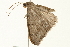  ( - 09BBLEP-04356)  @13 [ ] CreativeCommons - Attribution (2009) Unspecified Centre for Biodiversity Genomics