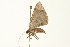 ( - 09BBLEP-04359)  @13 [ ] CreativeCommons - Attribution (2009) Unspecified Centre for Biodiversity Genomics