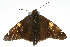  ( - 09BBLEP-04926)  @13 [ ] CreativeCommons - Attribution (2009) Unspecified Centre for Biodiversity Genomics
