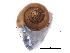  ( - BIOUG13626-C01)  @12 [ ] CreativeCommons - Attribution (2014) CBG Photography Group Centre for Biodiversity Genomics