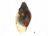 ( - BIOUG13626-C02)  @12 [ ] CreativeCommons - Attribution (2014) CBG Photography Group Centre for Biodiversity Genomics