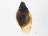  ( - BIOUG13626-C02)  @12 [ ] CreativeCommons - Attribution (2014) CBG Photography Group Centre for Biodiversity Genomics
