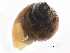  ( - BIOUG13626-C02)  @12 [ ] CreativeCommons - Attribution (2014) CBG Photography Group Centre for Biodiversity Genomics