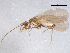  ( - BIOUG02863-G07)  @13 [ ] CreativeCommons - Attribution (2012) CBG Photography Group Centre for Biodiversity Genomics