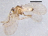  ( - BIOUG02863-G08)  @13 [ ] CreativeCommons - Attribution (2012) CBG Photography Group Centre for Biodiversity Genomics